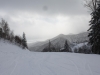 Waldpiste
